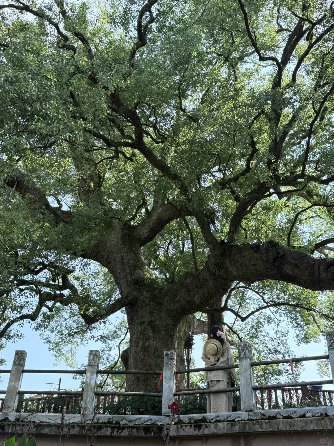 国庆反向旅行✈️第二站：徽州歙县！！！值得N刷