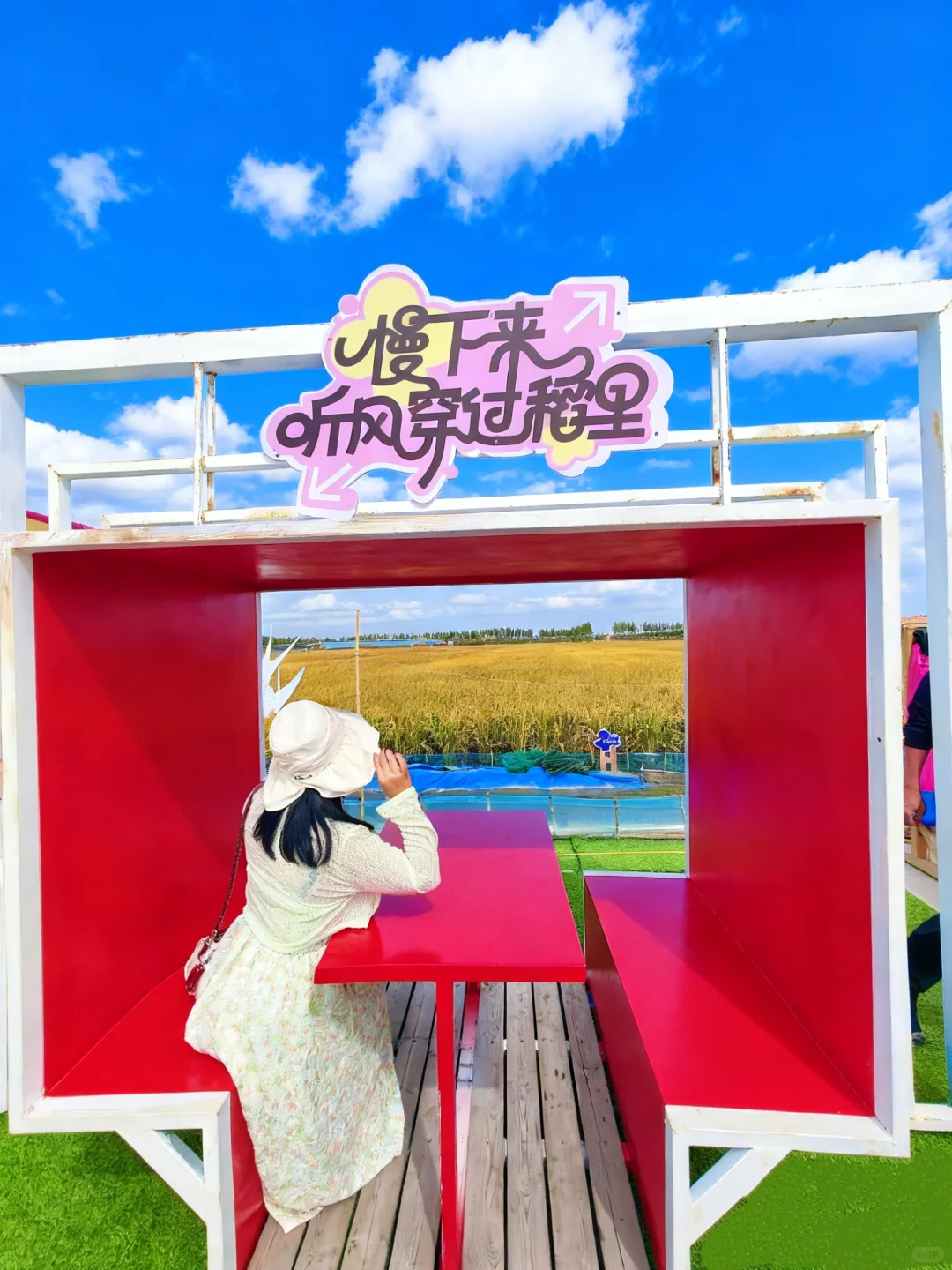 国庆遛娃挖到宝！49.9玩疯稻田农场‼️