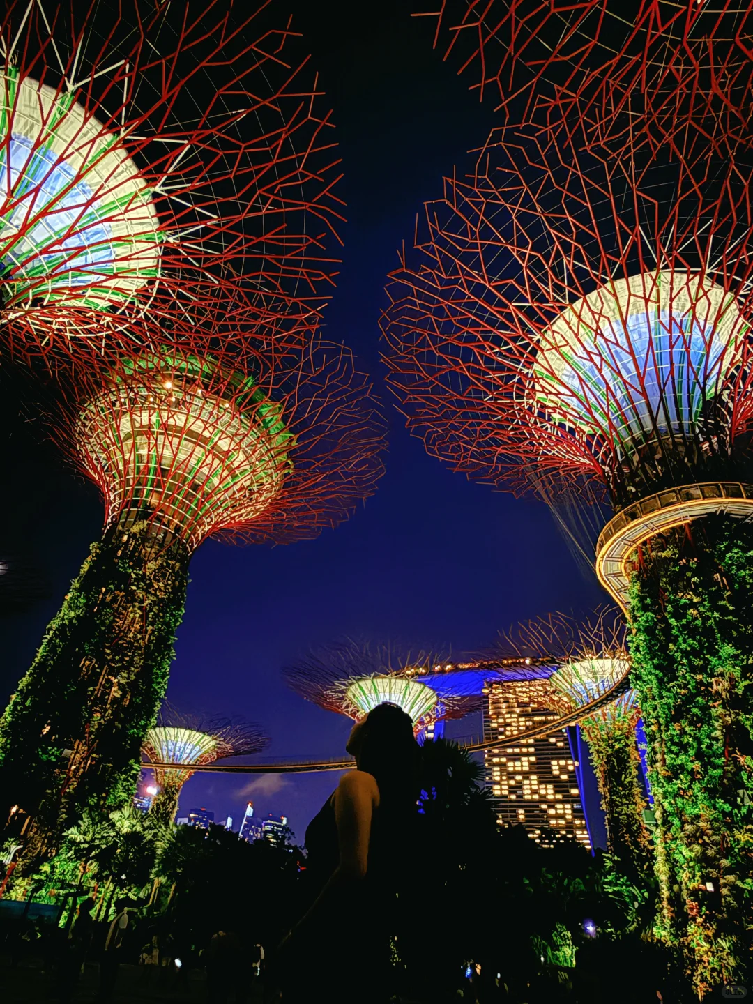 新加坡旅行6天5晚跟着这个路线玩，不踩雷‼️