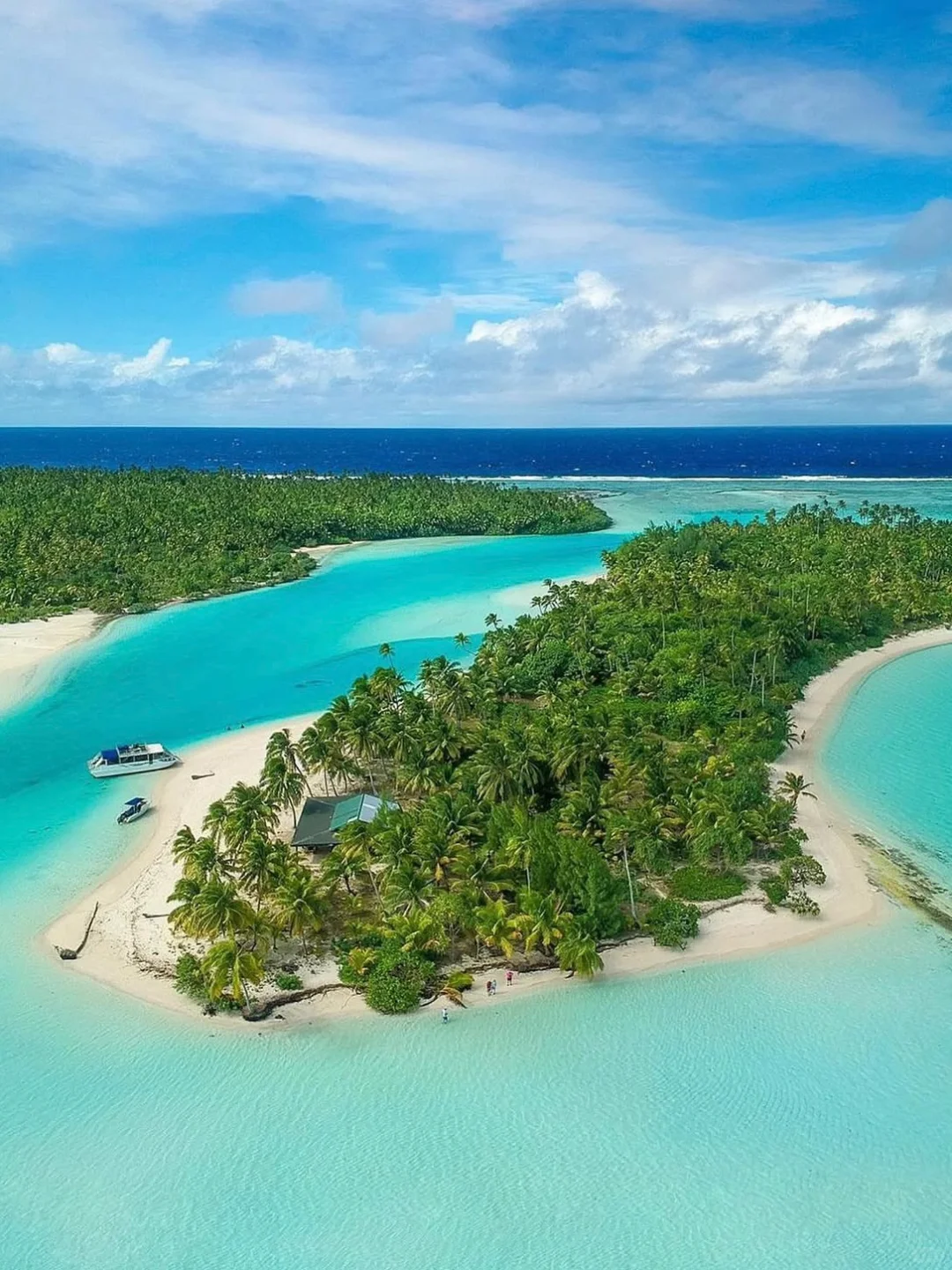 🇳🇿南半球这个免签小国，太适合去旅居了😇