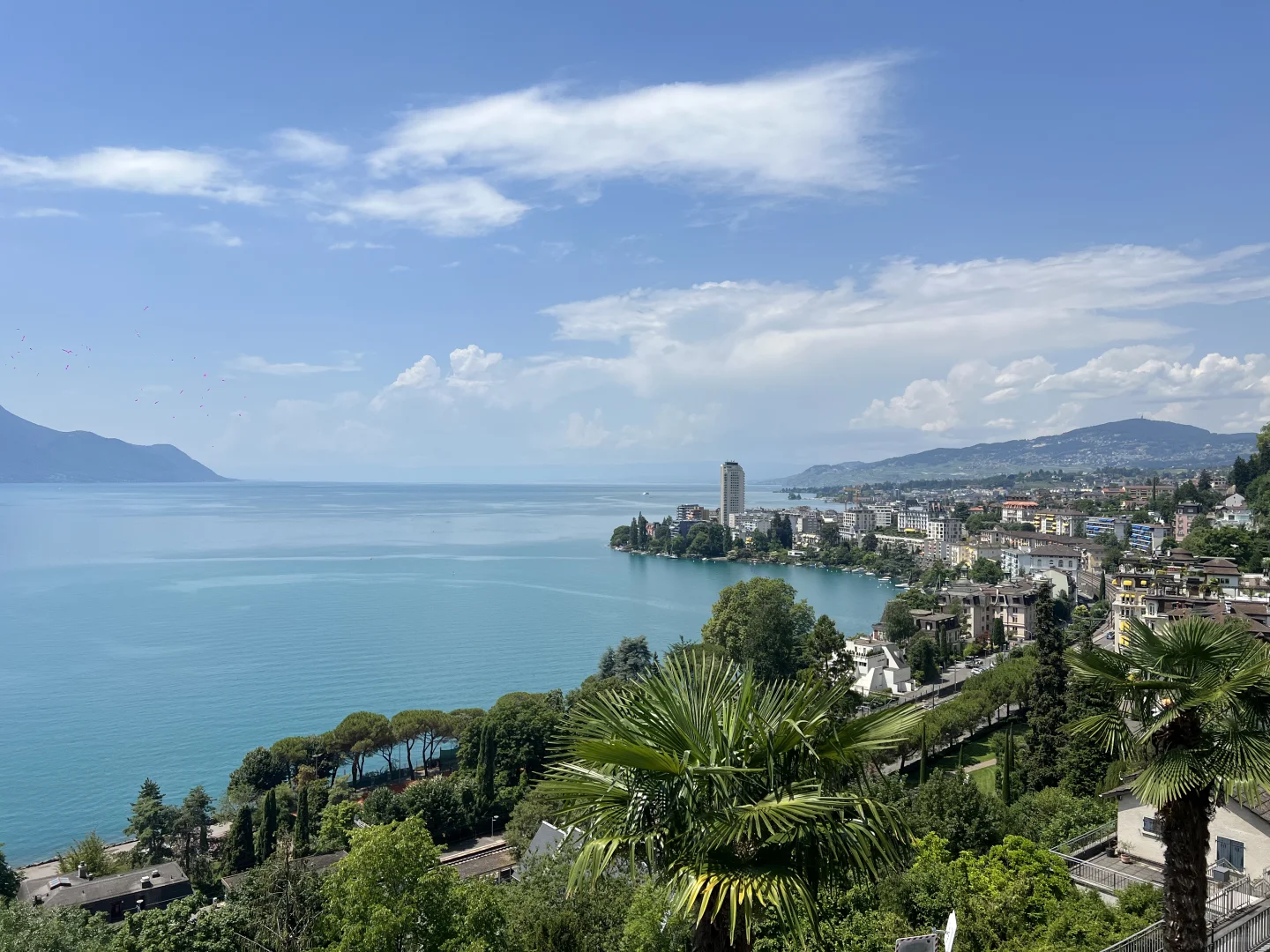 日落前的光最温柔💋