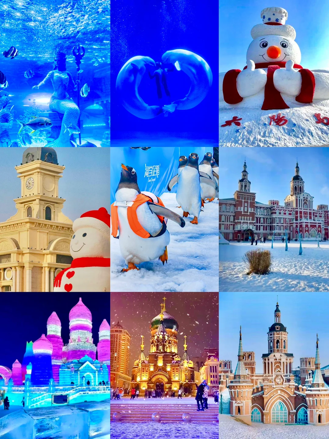 南方小土豆速码！哈尔滨5天冬游嗨玩攻略✨