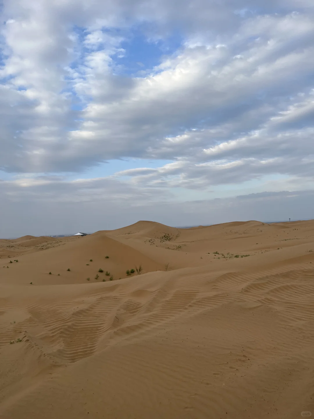 沙坡头景区～沙漠区记录