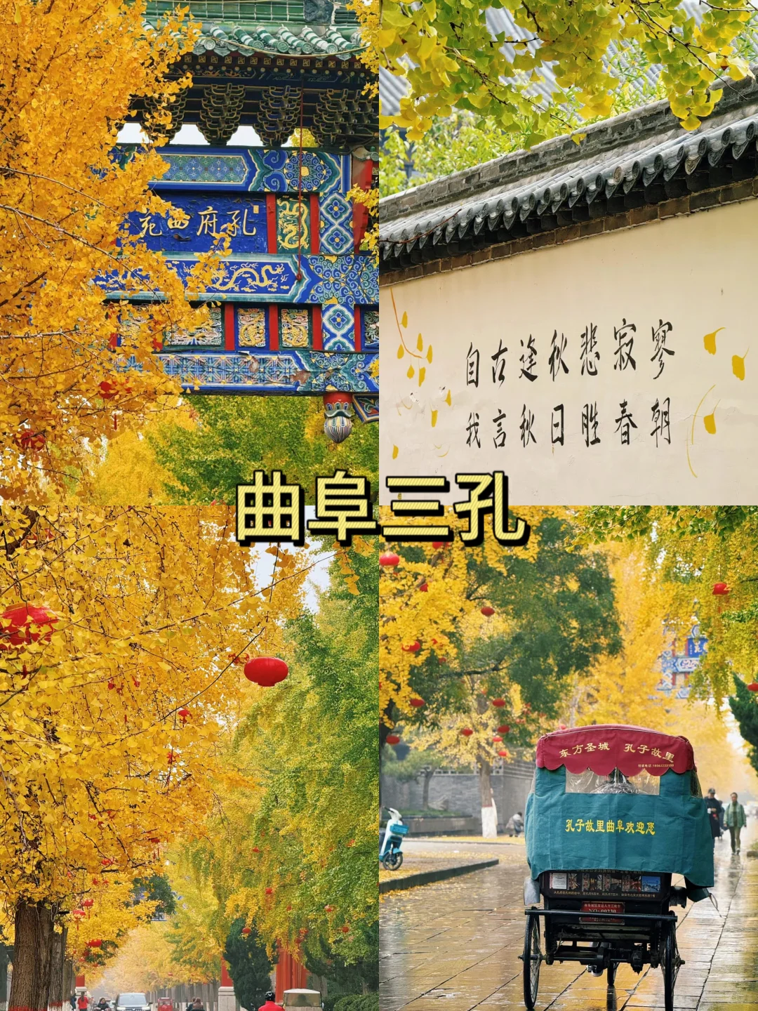 济宁 | 宝藏旅游地，新手看这篇就够啦