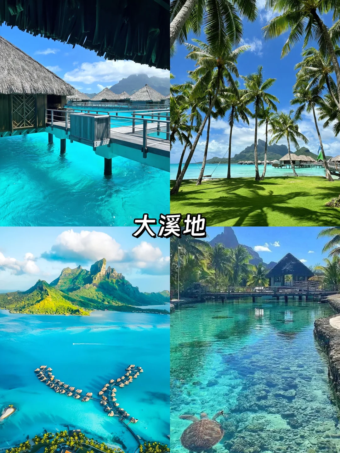 免签海岛Top9🏝️说走就走的海岛清单来啦