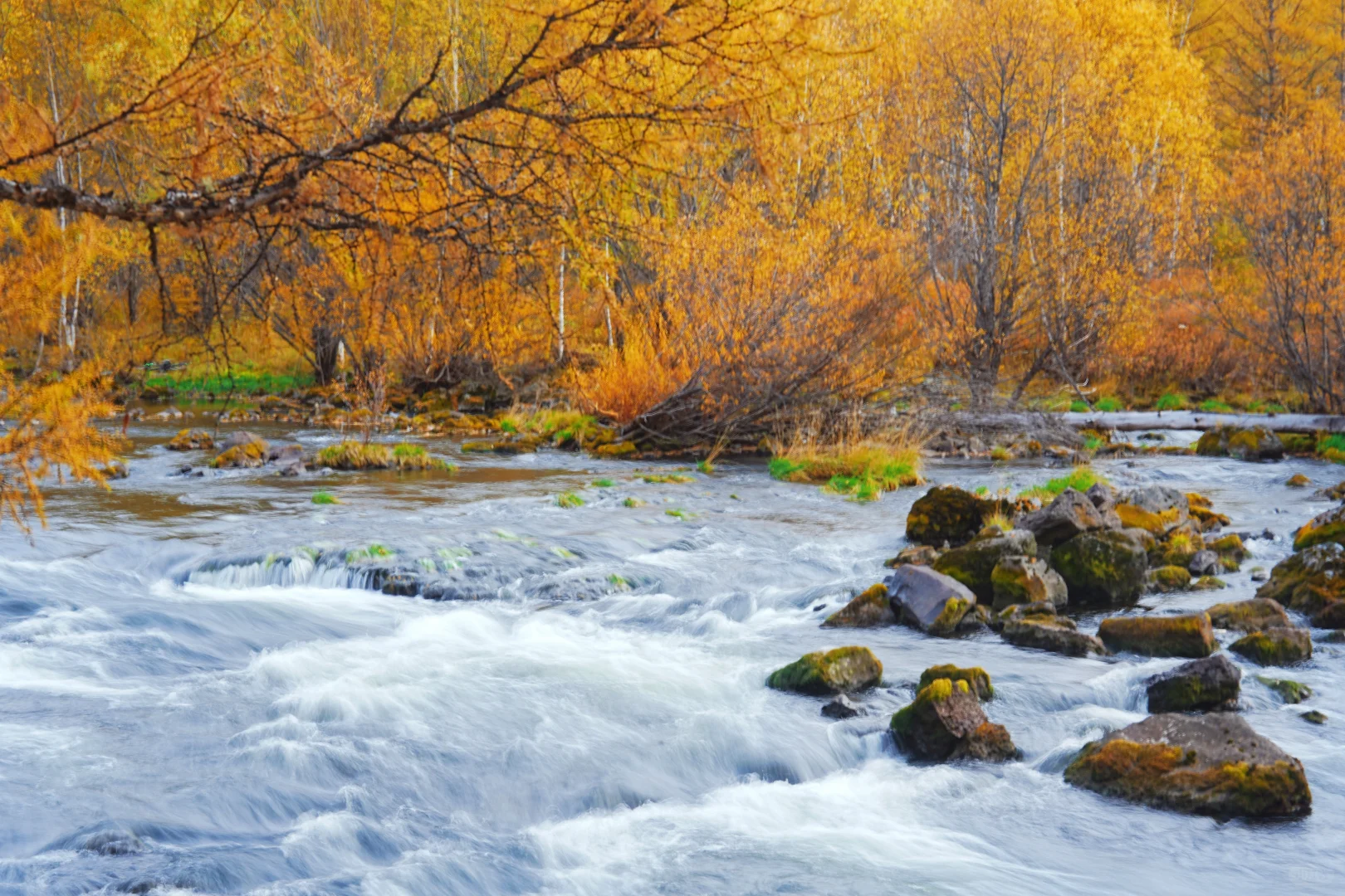 阿尔山付费景区超全攻略，每个景点都有附图