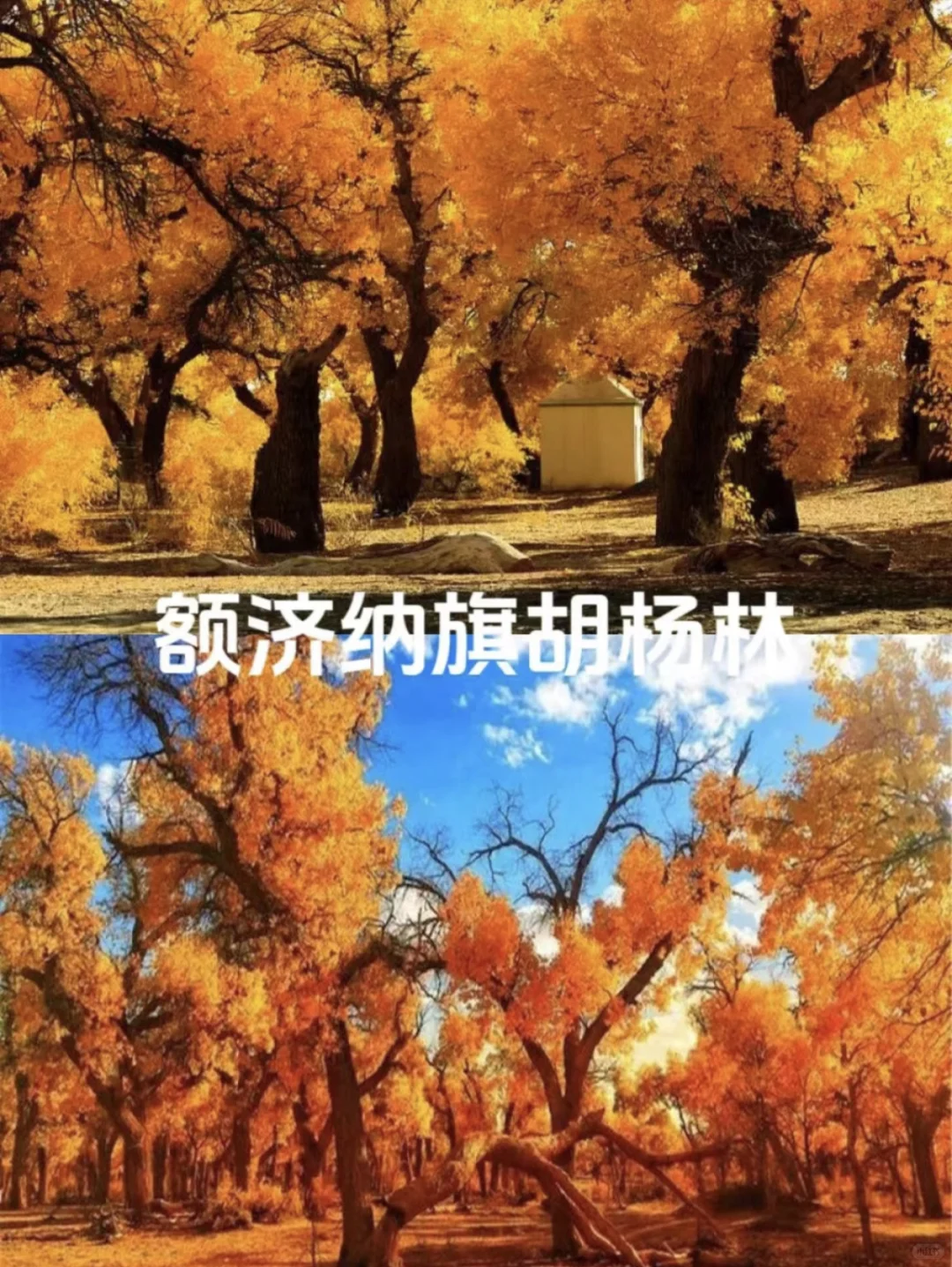 拒绝人挤人❌国庆适合去的9个小众旅行地