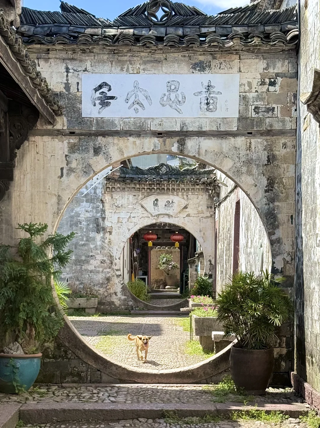 live|一个冷门可以隐居的江南小城‼️