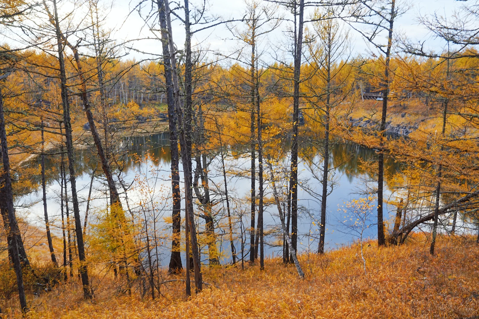 阿尔山付费景区超全攻略，每个景点都有附图
