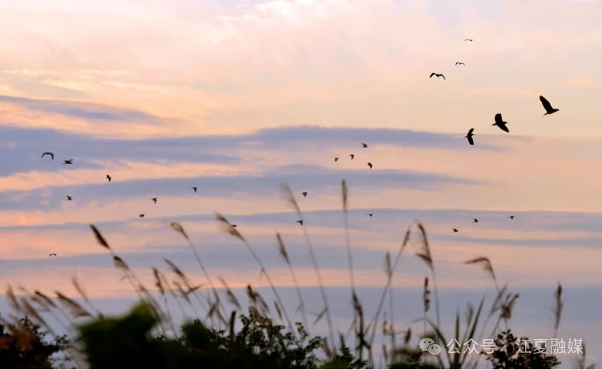 江夏，8天不够玩❗根本不够玩❗ ②