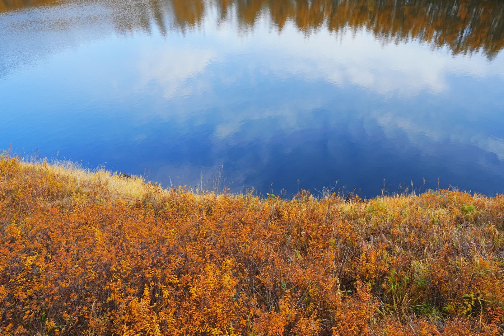 阿尔山付费景区超全攻略，每个景点都有附图