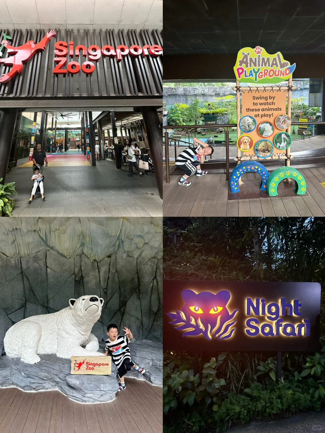 新加坡旅行6天5晚跟着这个路线玩，不踩雷‼️