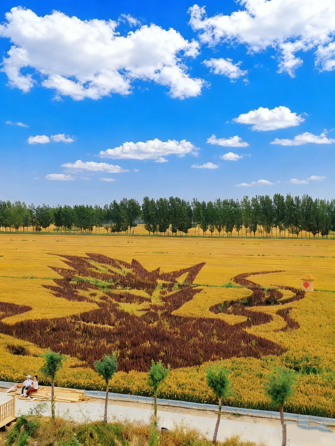 国庆遛娃挖到宝！49.9玩疯稻田农场‼️