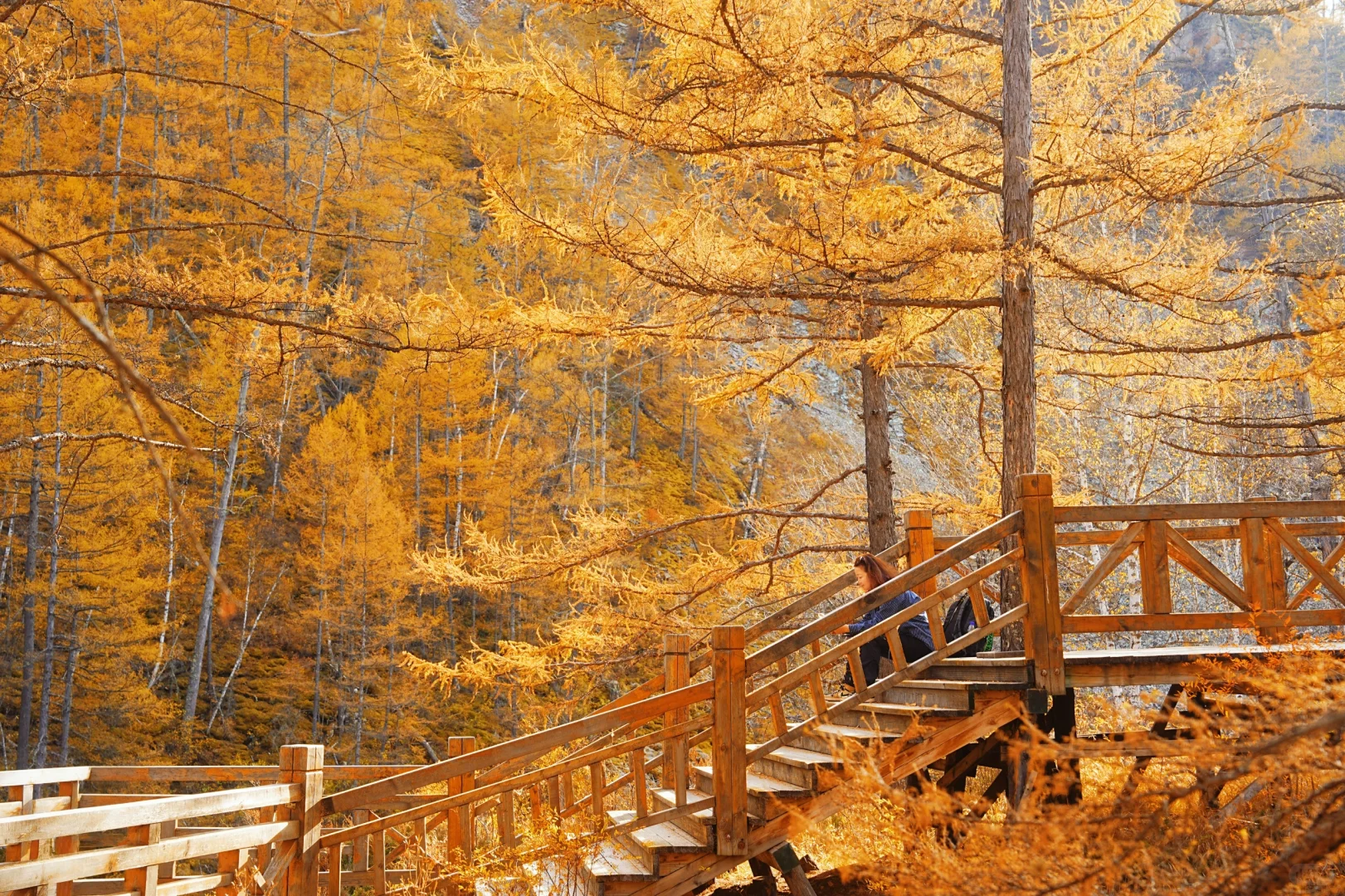 阿尔山付费景区超全攻略，每个景点都有附图