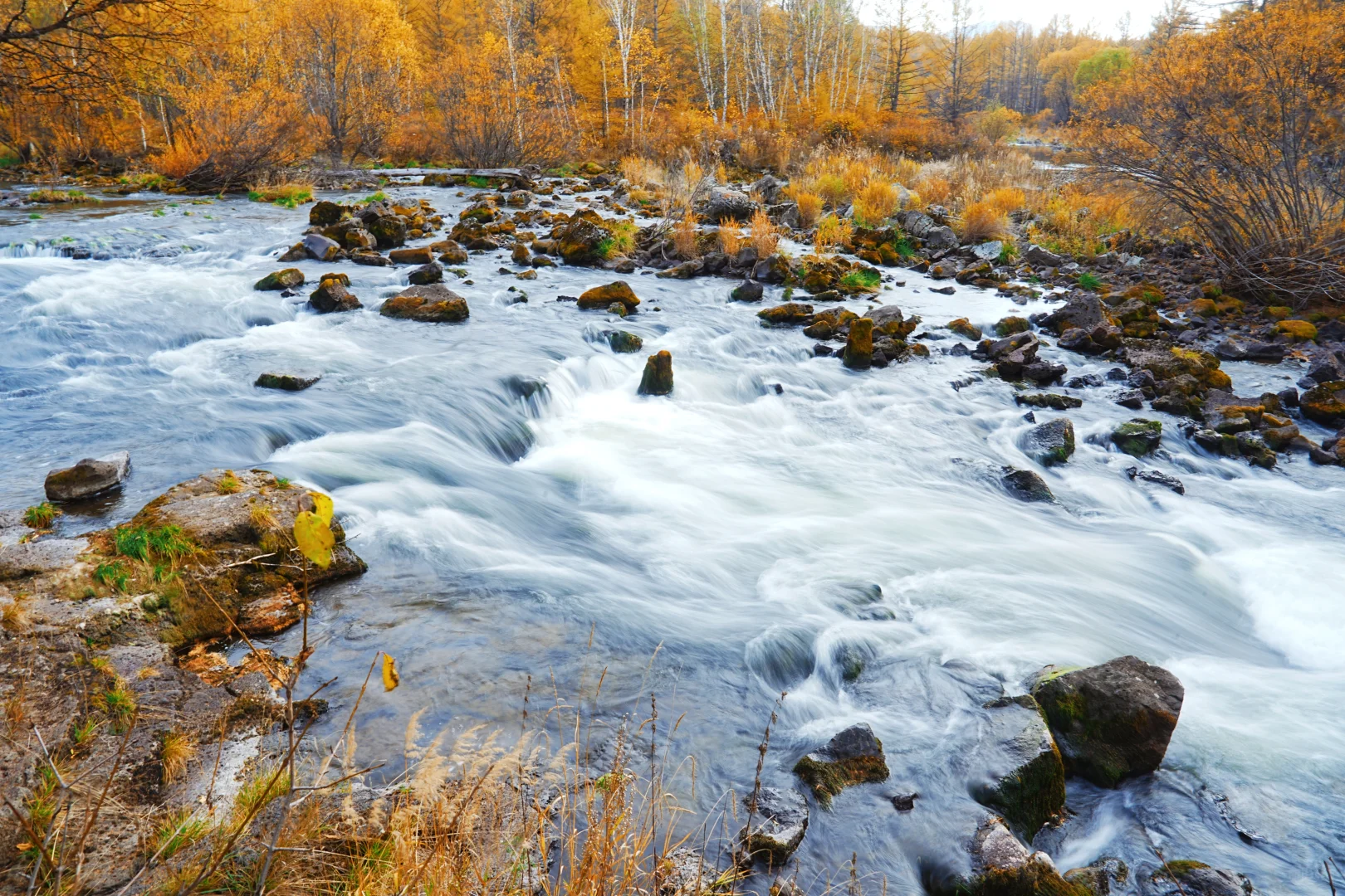 阿尔山付费景区超全攻略，每个景点都有附图