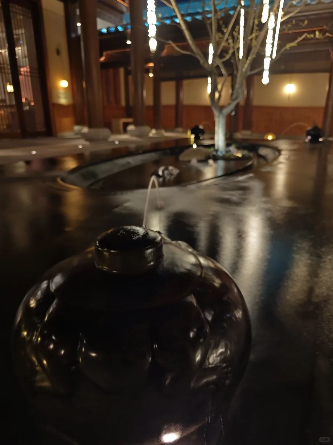 南京旅游的人真的不多，因为树上还有位置。