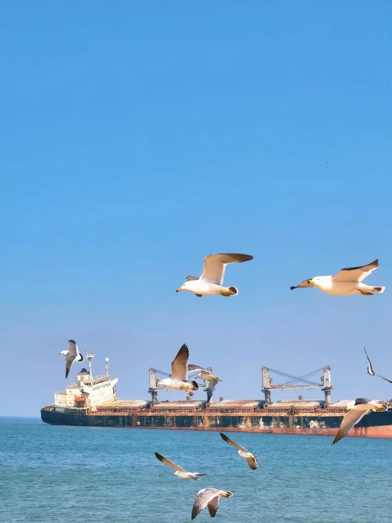 本地⼈做的威海攻略已nextlevel❗码住☝️