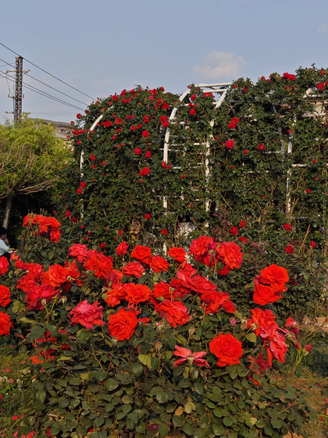 昆明旅游攻略丨必去景点推荐（上）