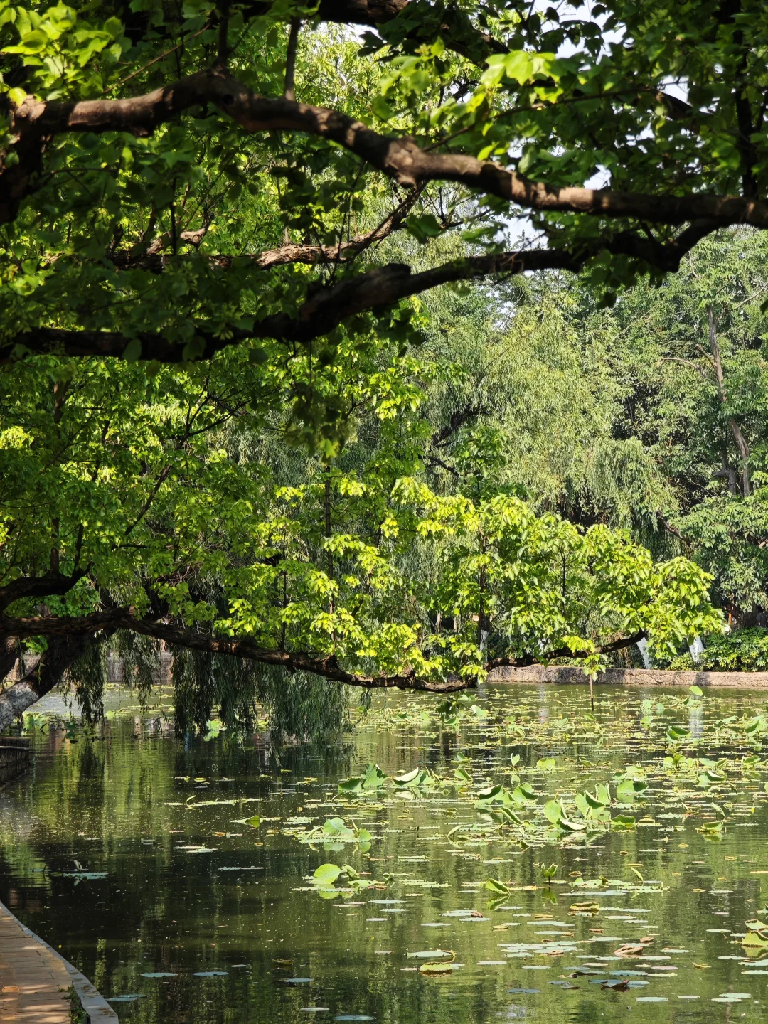 昆明旅游攻略丨必去景点推荐（上）
