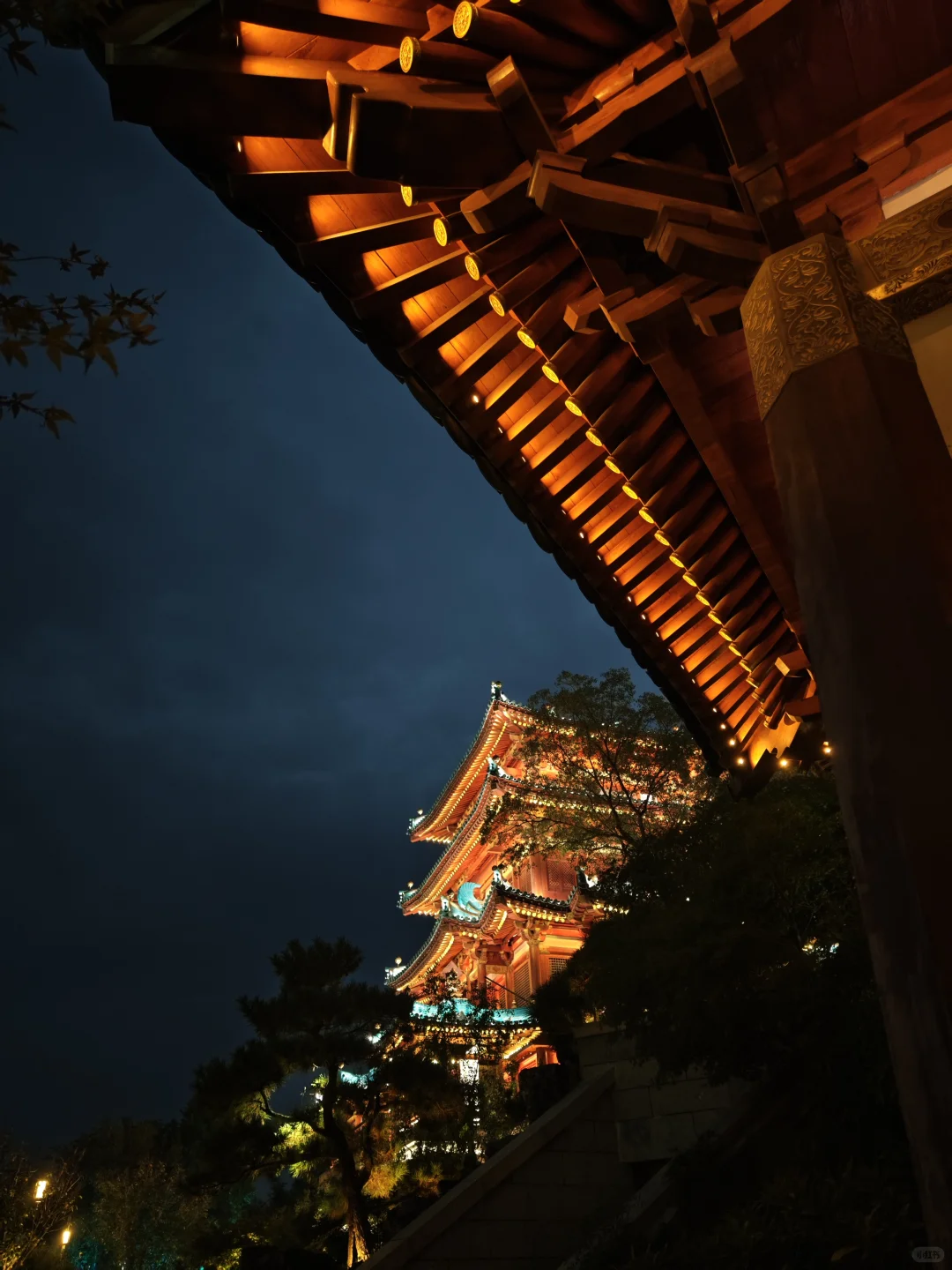 南京旅游的人真的不多，因为树上还有位置。