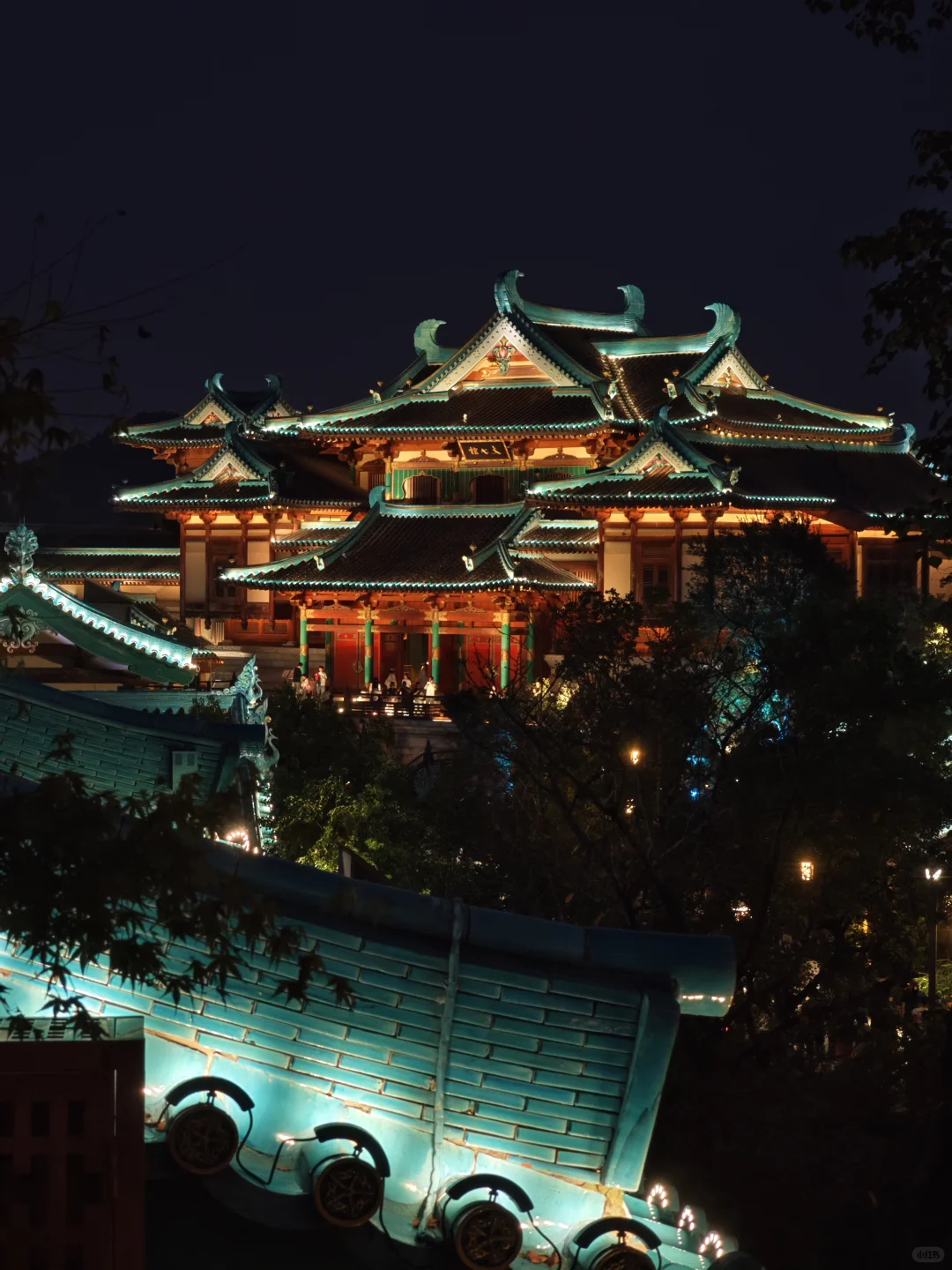 南京旅游的人真的不多，因为树上还有位置。