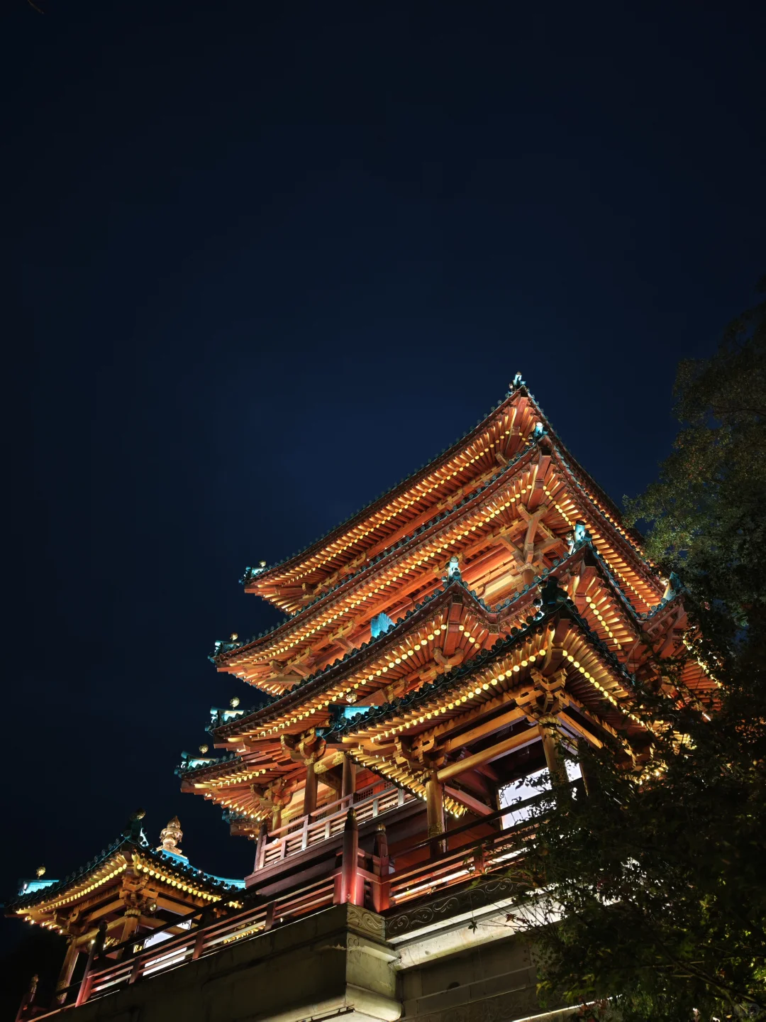 南京旅游的人真的不多，因为树上还有位置。