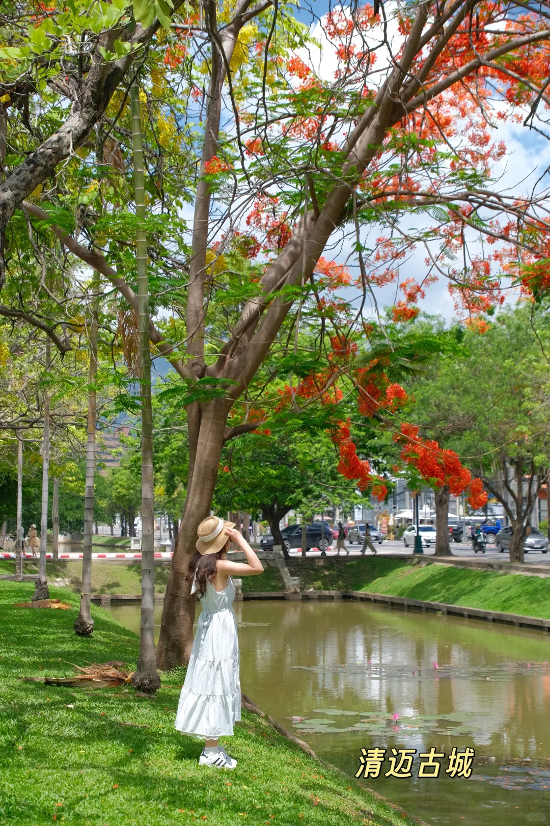 曼谷 | 清迈 4天3晚旅游攻略