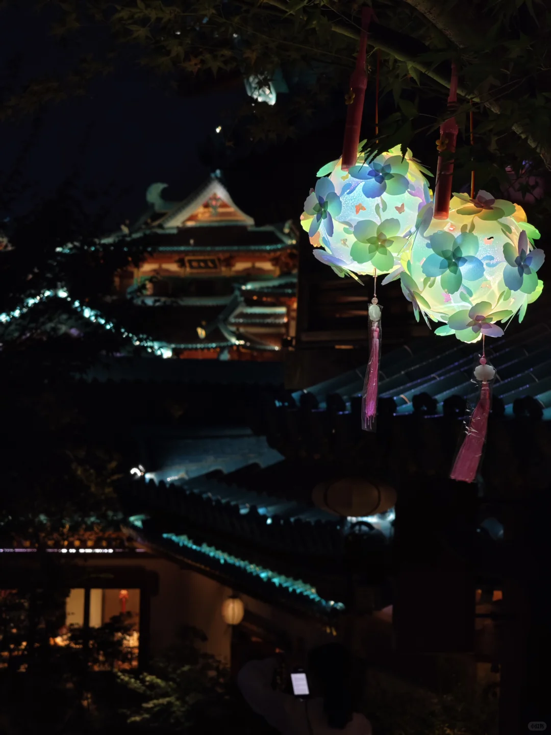 南京旅游的人真的不多，因为树上还有位置。