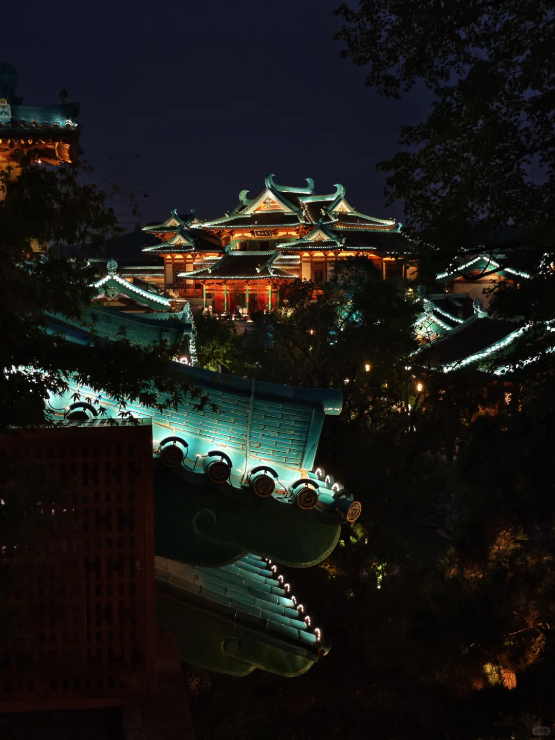 南京旅游的人真的不多，因为树上还有位置。