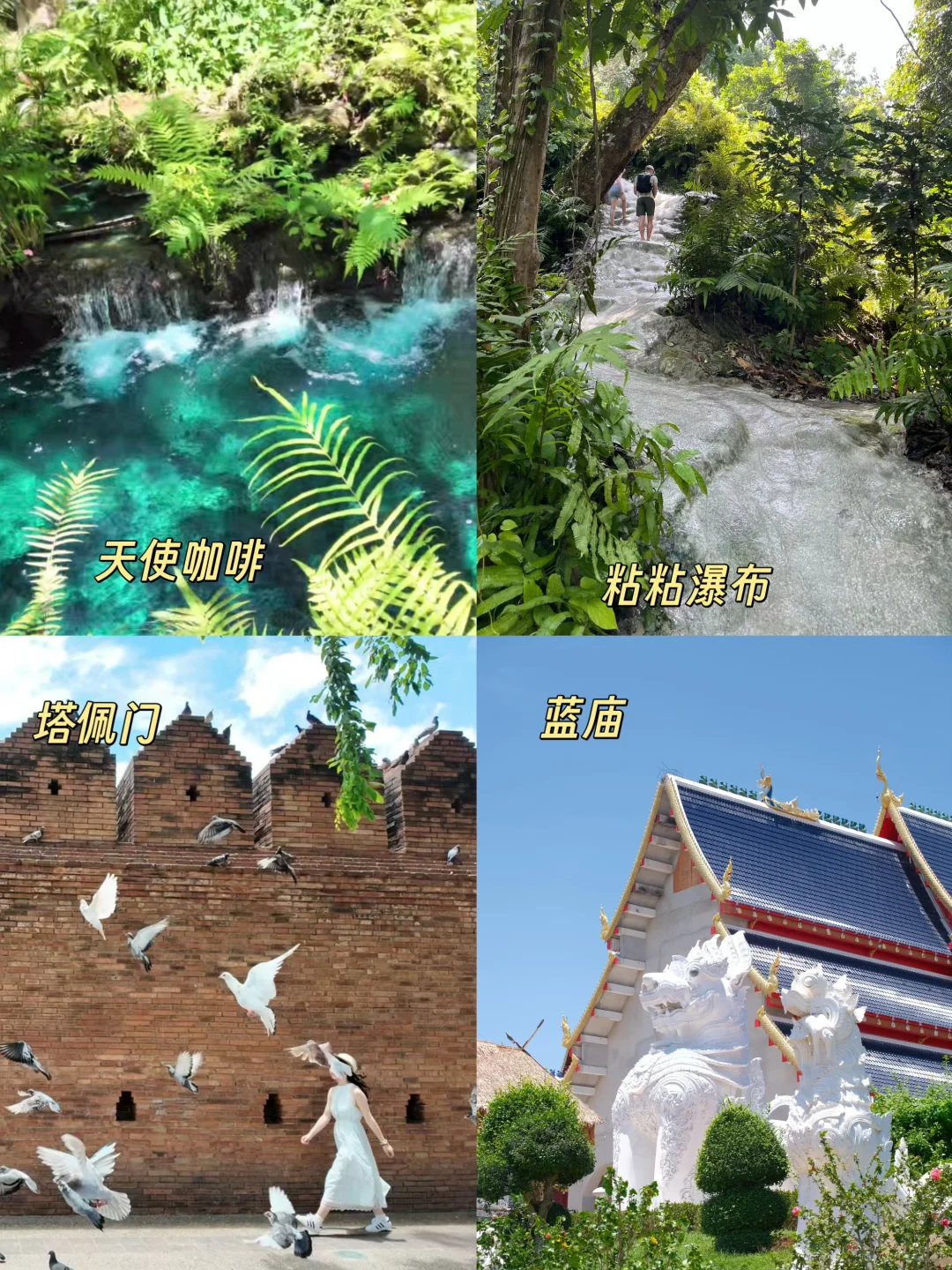 曼谷 | 清迈 4天3晚旅游攻略