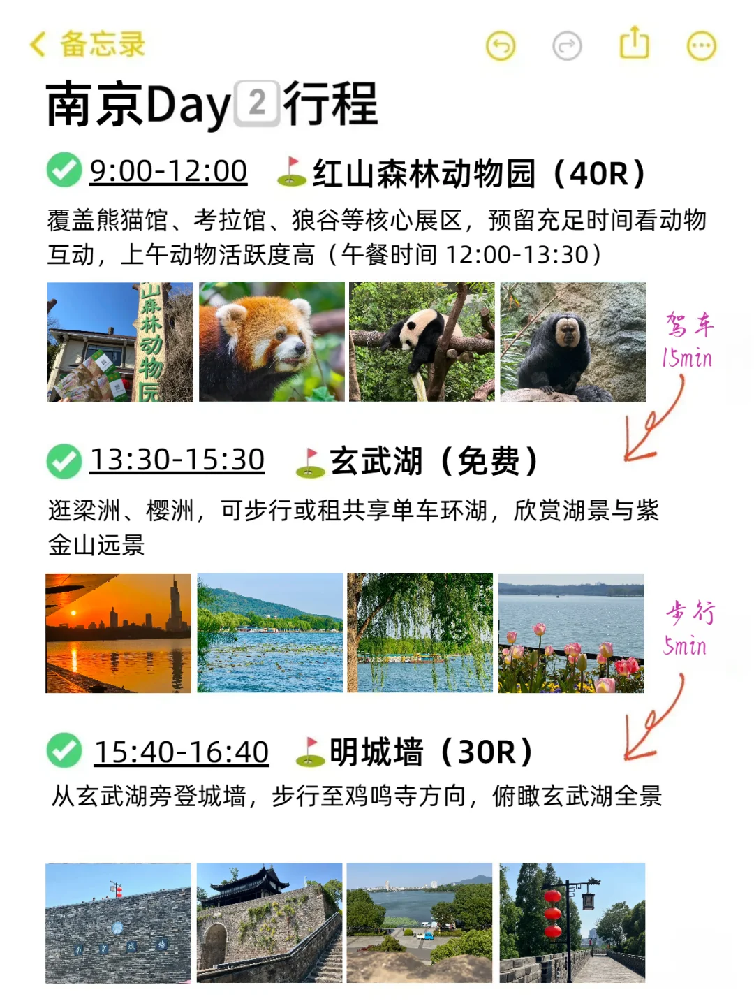 本J人对自己做的南京复盘甚是满意