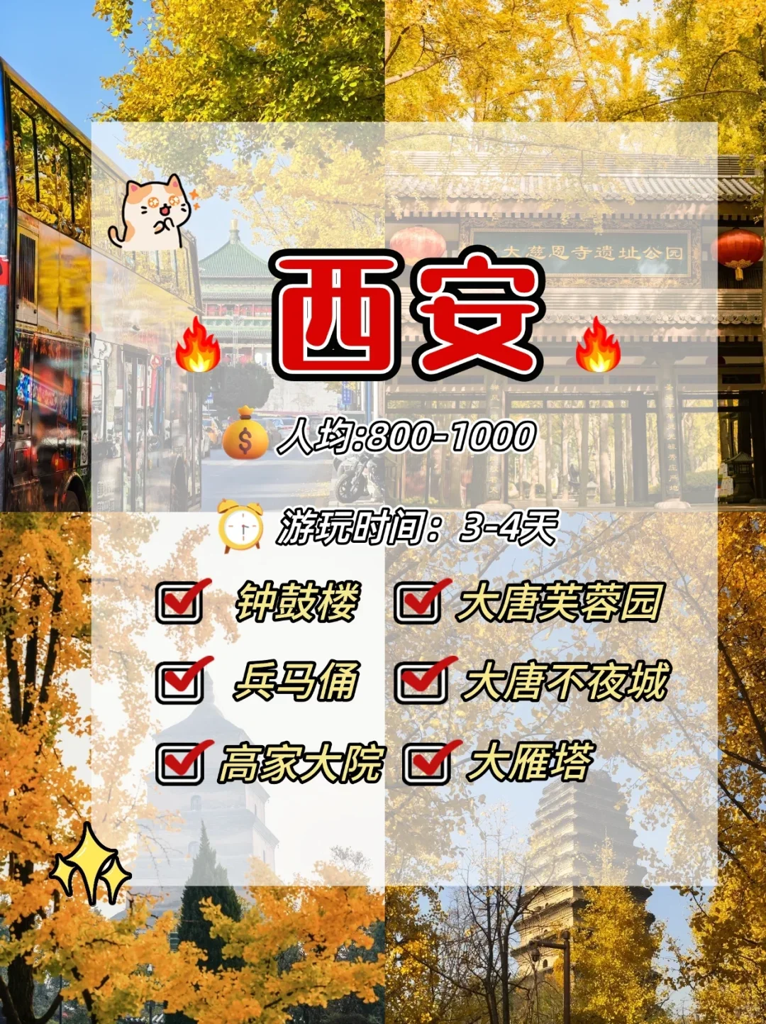 秋天亲子游shou选❗这12个城市超好玩🎉