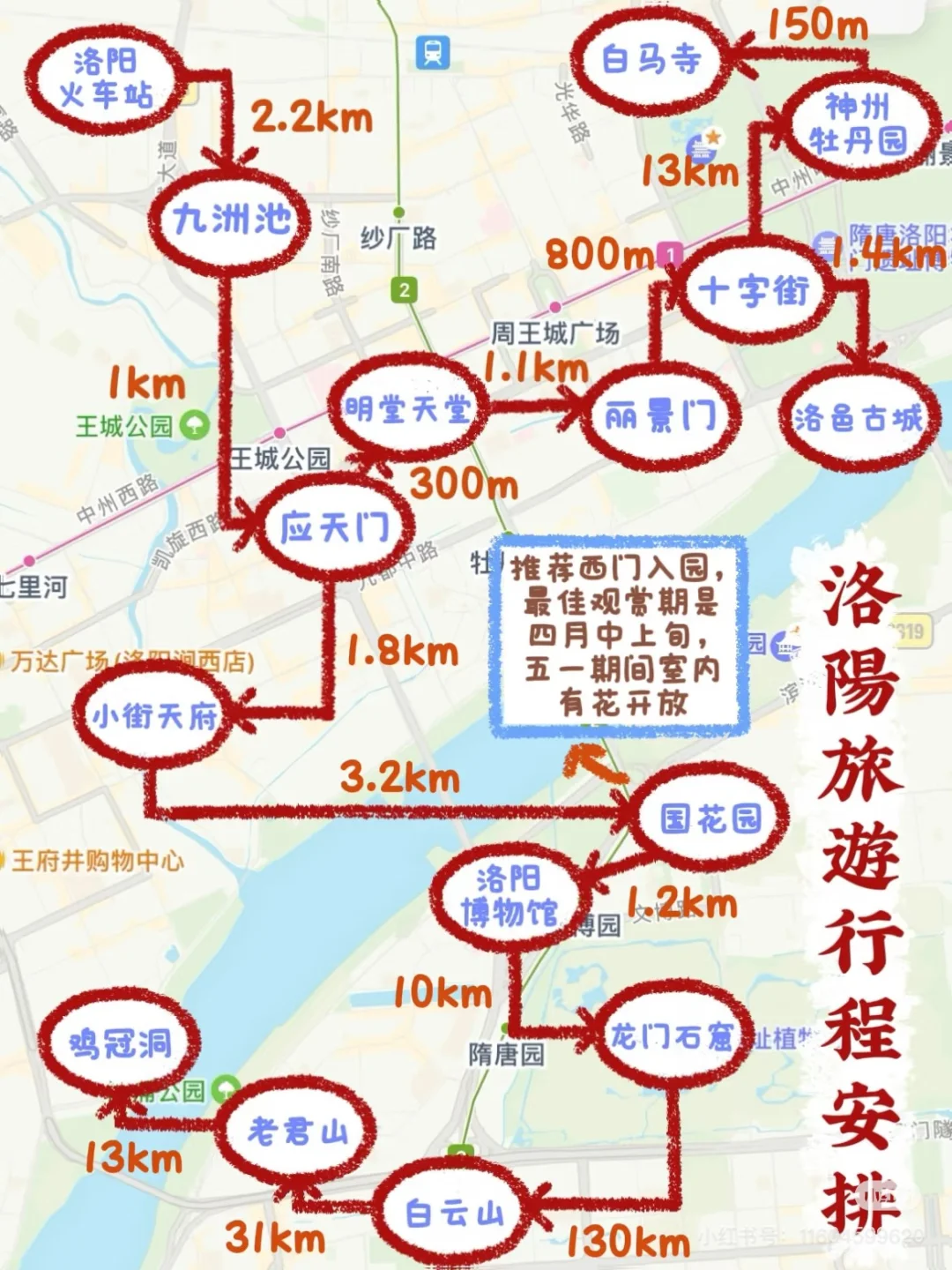 洛阳攻略做好了 请抄😎