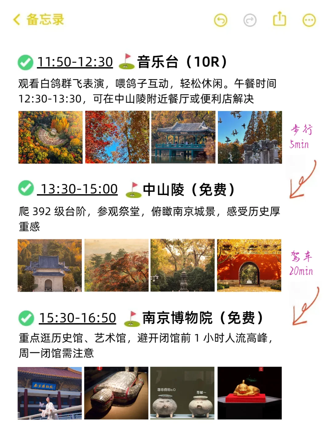 本J人对自己做的南京复盘甚是满意