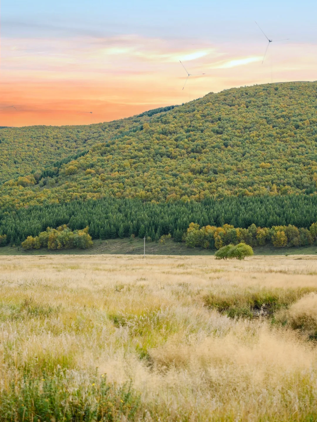 9.24实况‼️河北的秋景已经美成Next Level