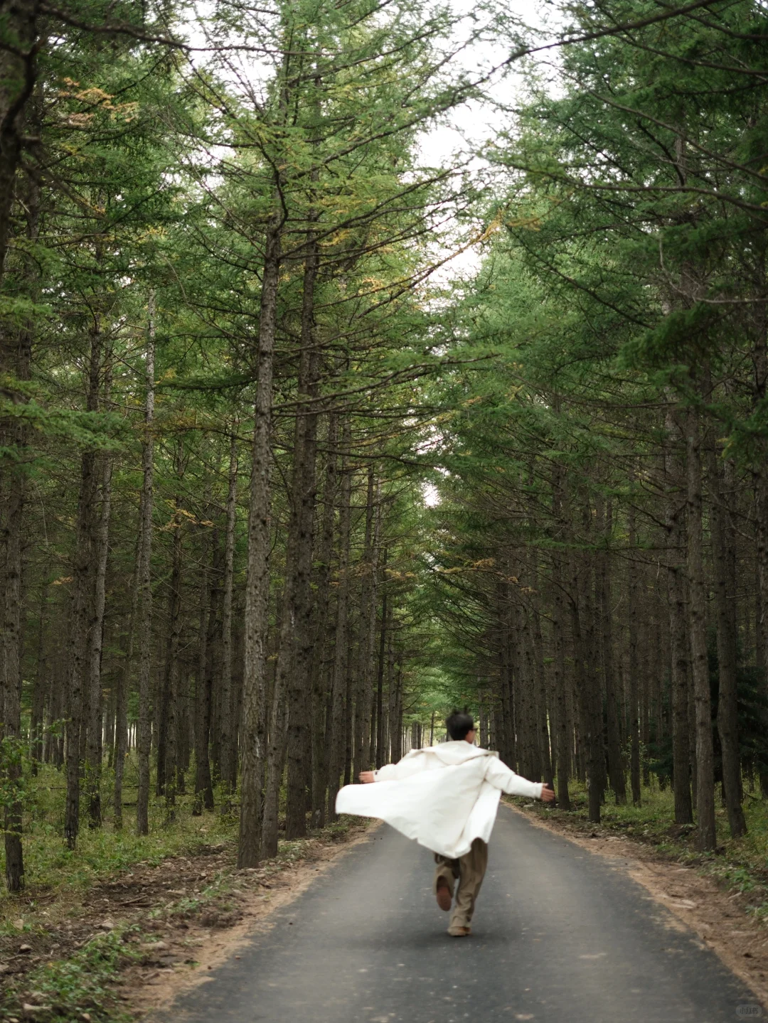 9.24实况‼️河北的秋景已经美成Next Level