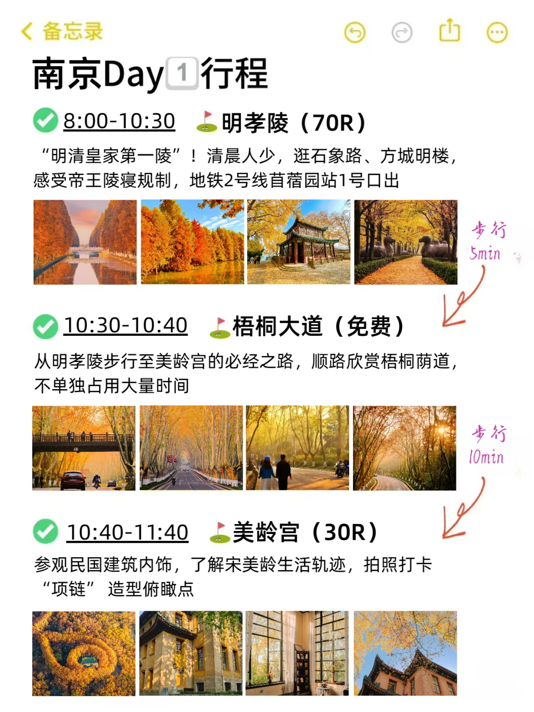 本J人对自己做的南京复盘甚是满意