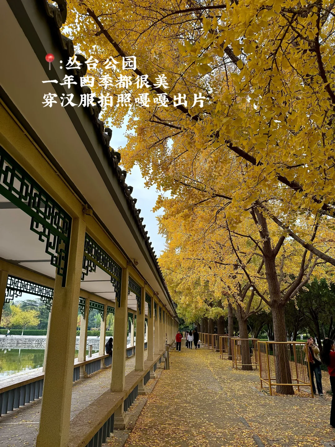 十一来邯郸!!!citywalk 逛吃攻略