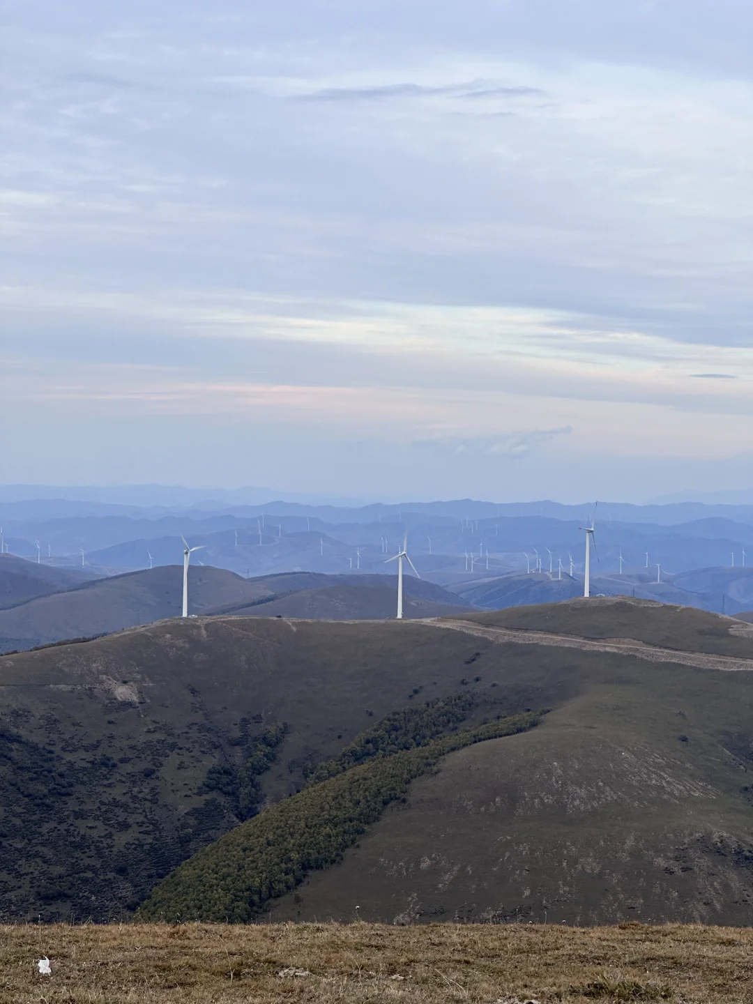 9.24实况‼️河北的秋景已经美成Next Level