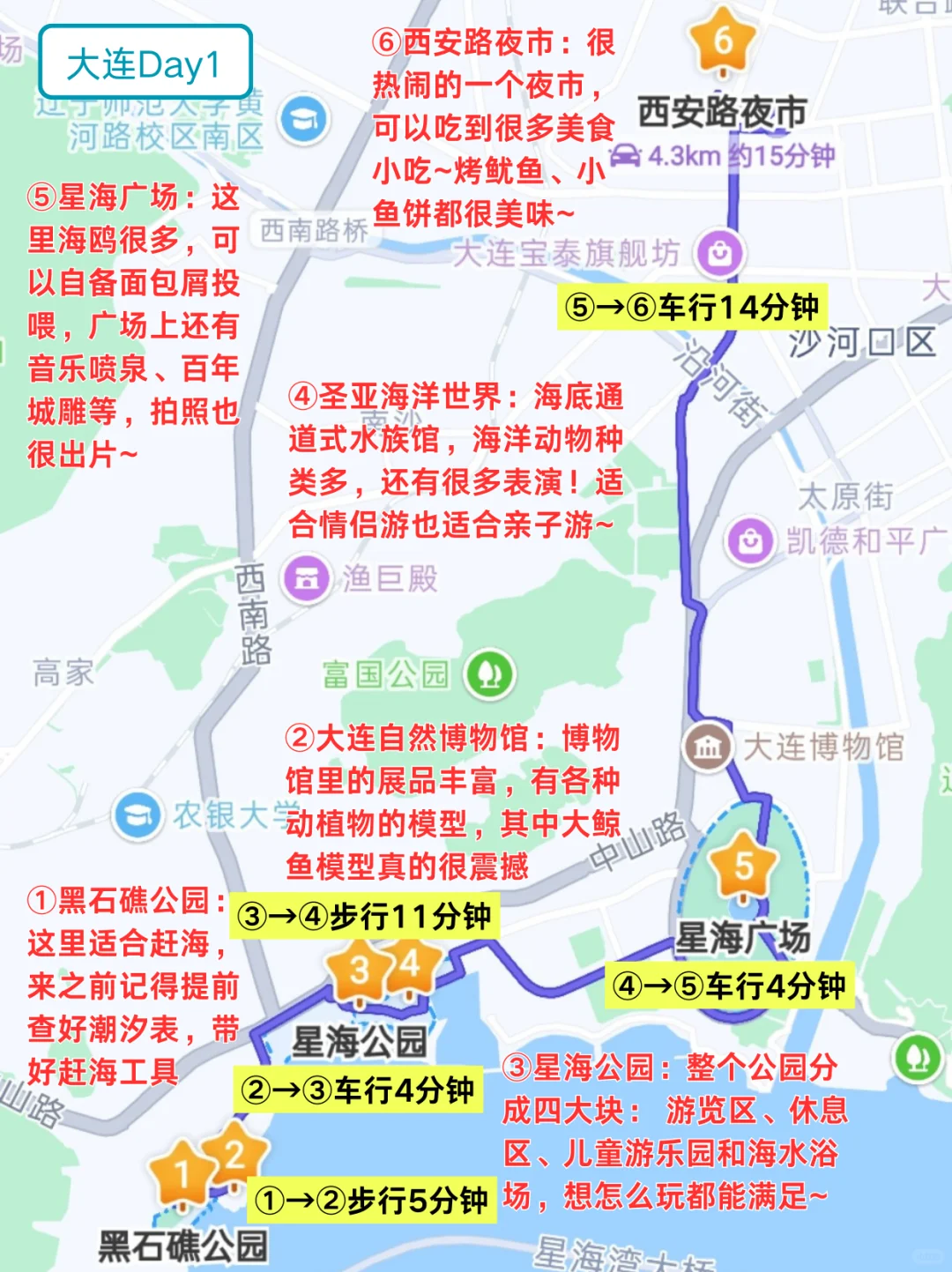 谁懂🥹真的被自己做的大连攻略满意得睡不着