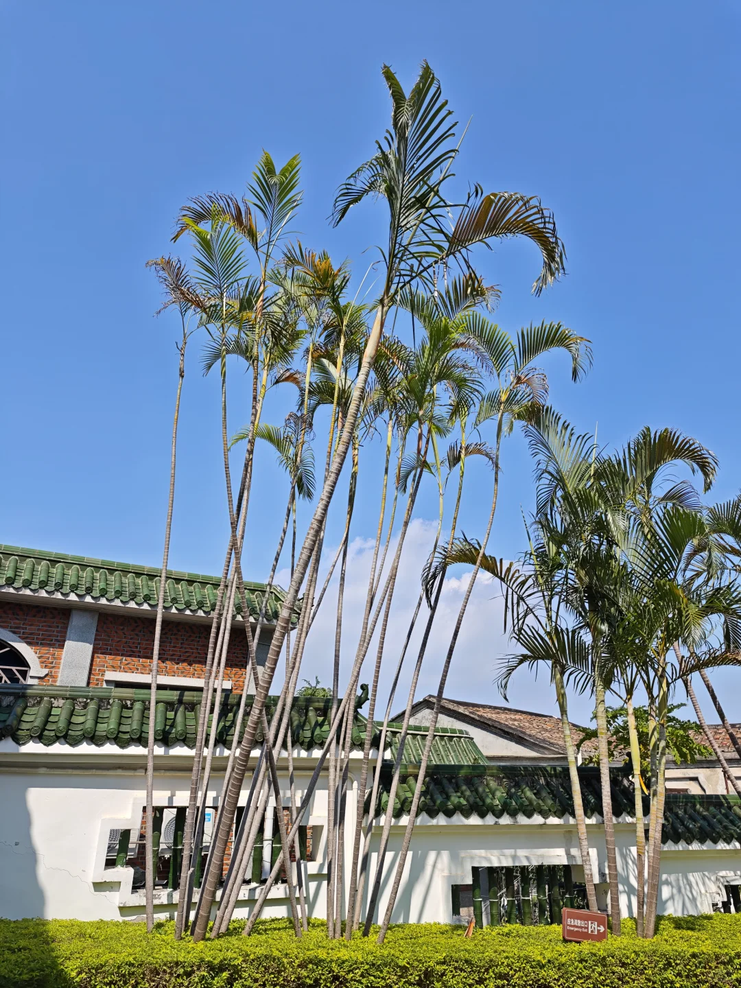 在鼓浪屿，出片就像呼吸一样简单