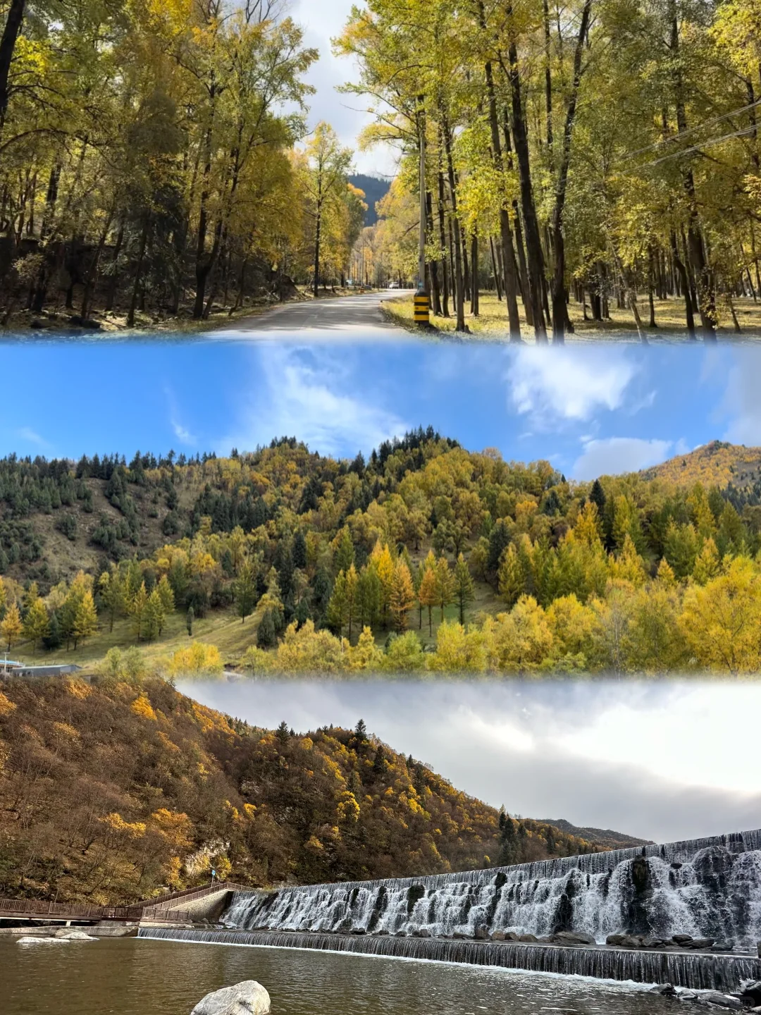 十一假期｜兰州周边｜秋天的山沟沟美到窒息🍂