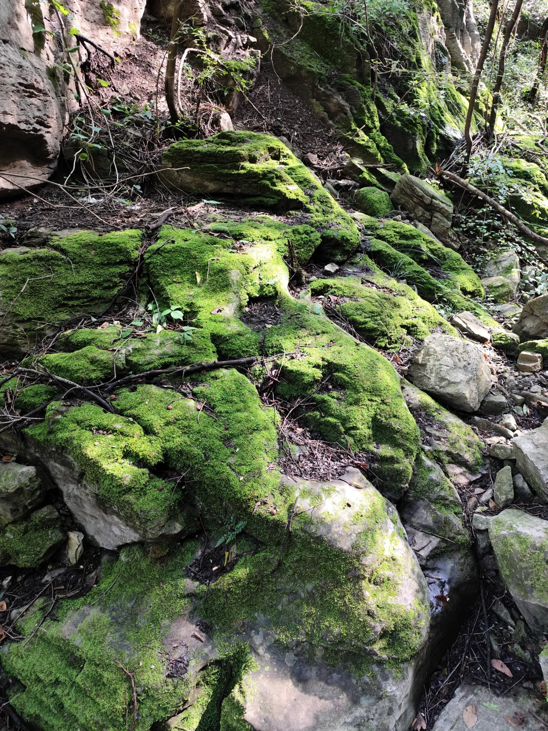周末登山｜河北邯郸磁县聚龙山