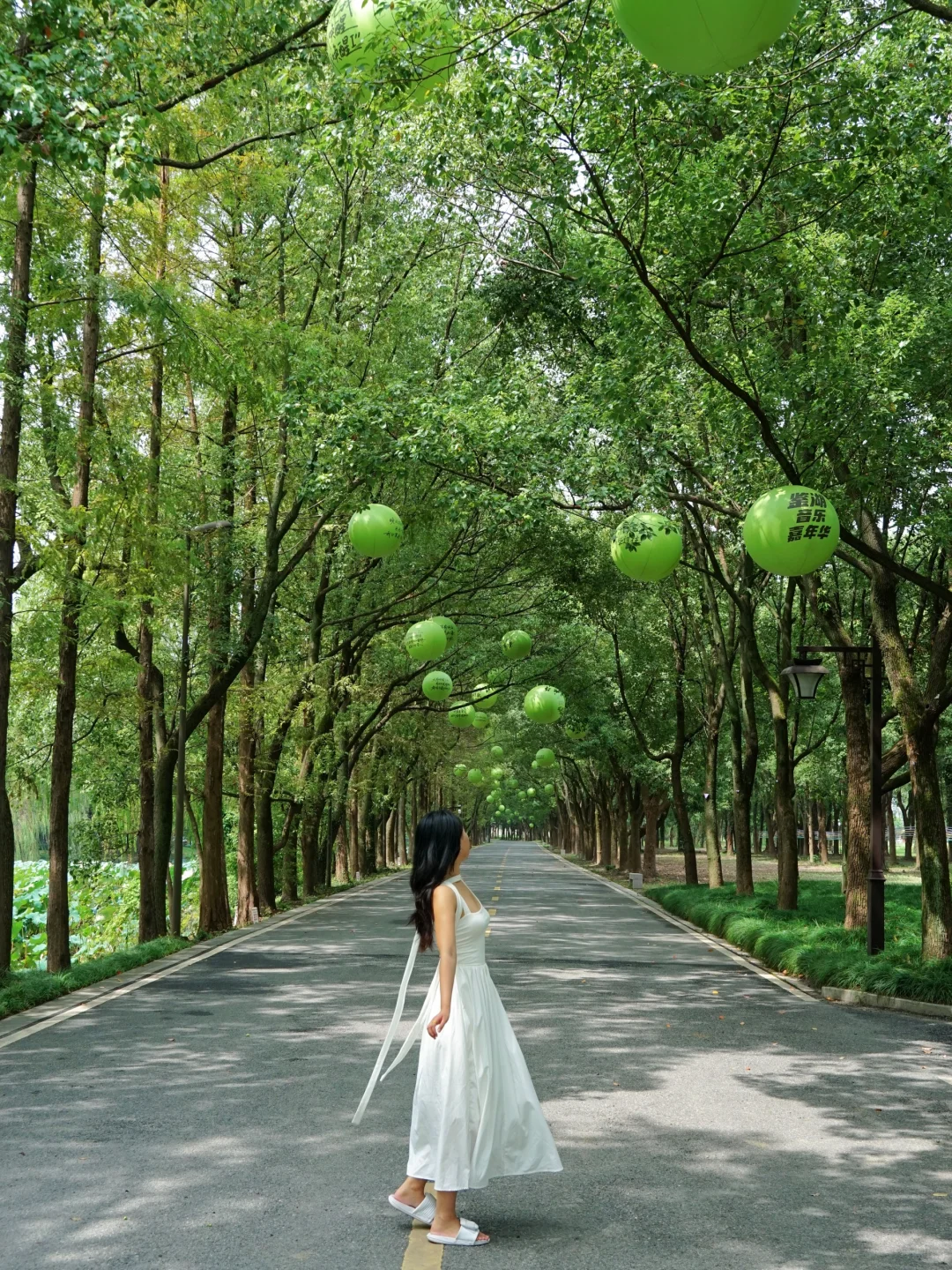 总要来一趟柯桥吧！感受先生笔下的江南！🍃