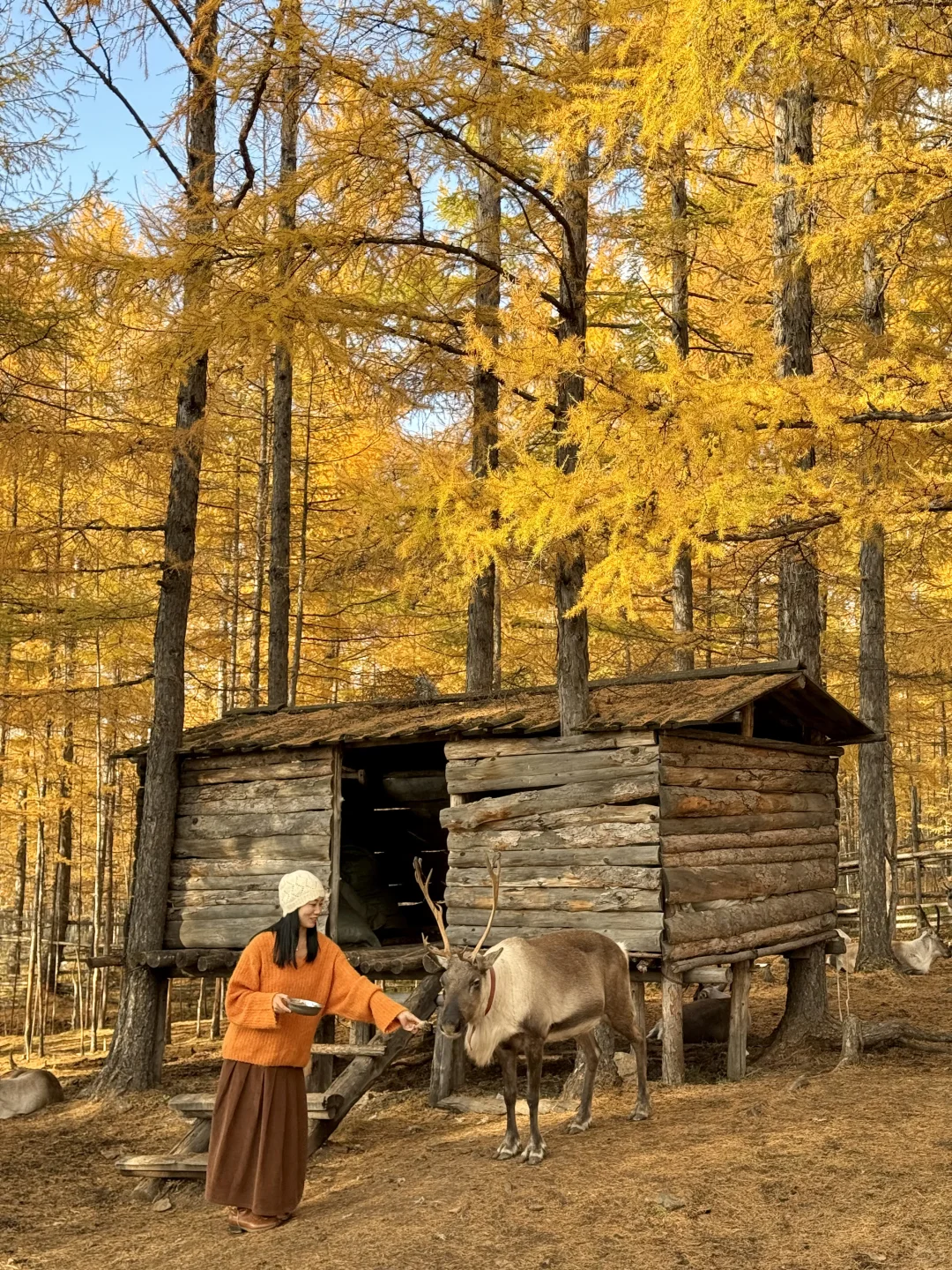 10.1 live图实况❗️此刻的呼伦贝尔杀疯了😭