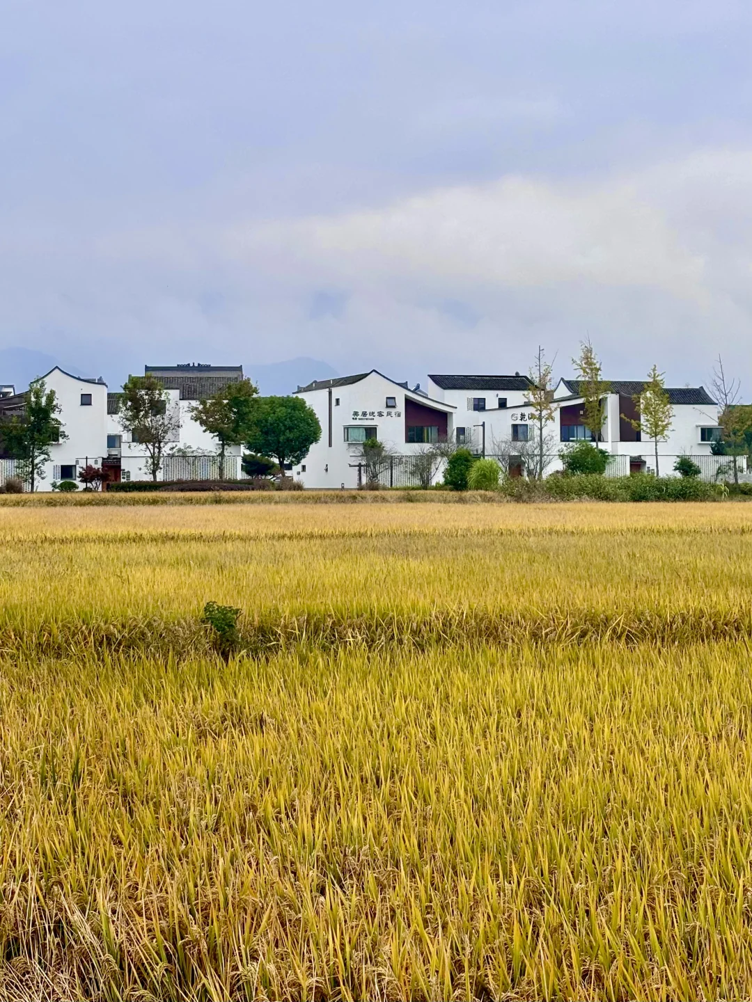 浙江最好的地方都是免费的……（富阳篇）