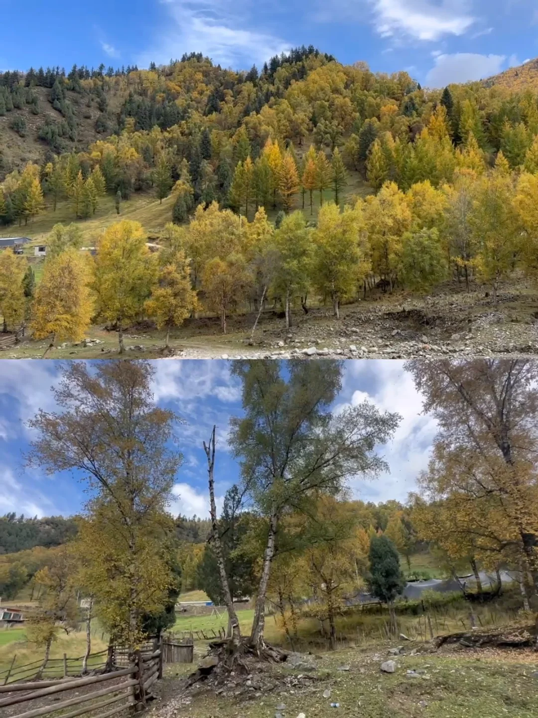 十一假期｜兰州周边｜秋天的山沟沟美到窒息🍂