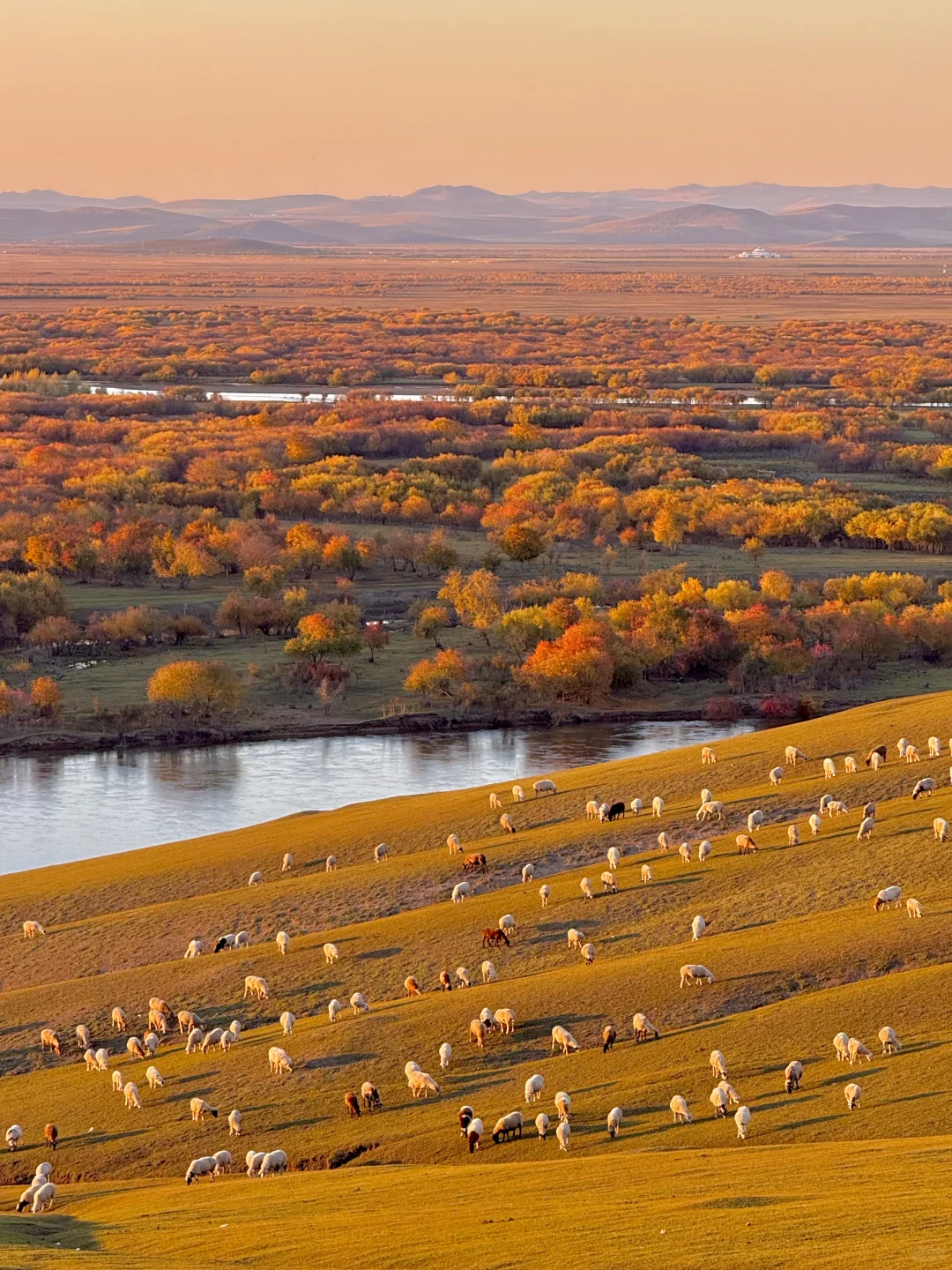 10.1 live图实况❗️此刻的呼伦贝尔杀疯了😭