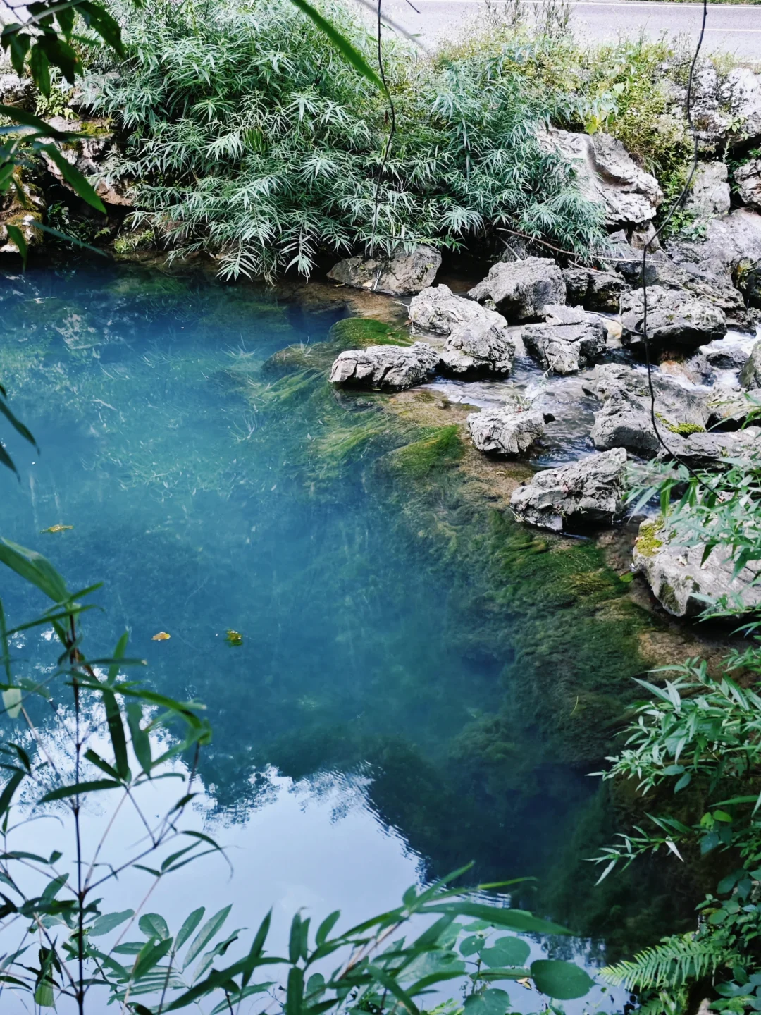 10月4号下午进荔波小七孔，没堵😳