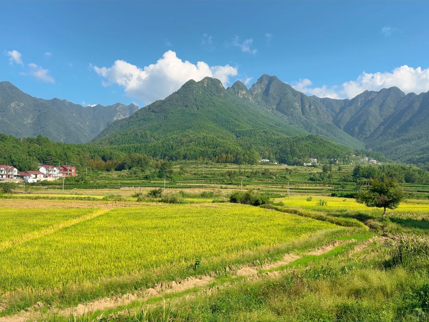 10月4号 皖南川藏线已去！太惊喜了！不堵车！